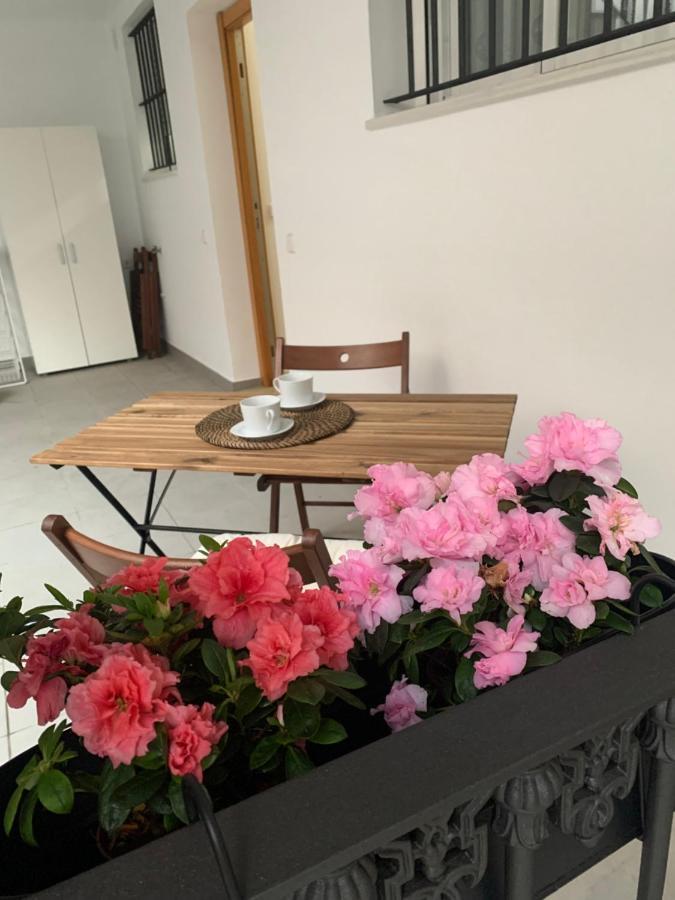 桑卢卡尔-德巴拉梅达Casa Vigon公寓 外观 照片
